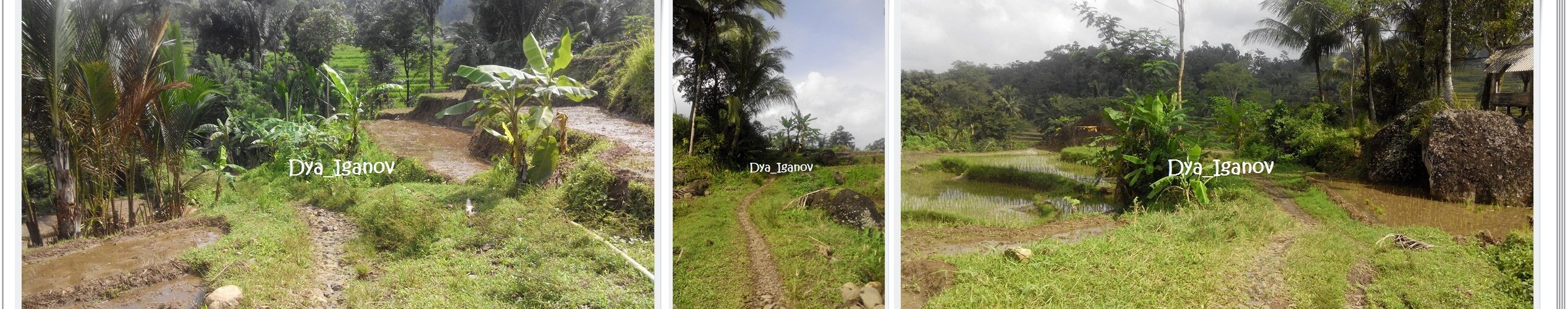 Desa Jayasari, Kecamatan Langkaplancar, Kabupaten Pangandaran, Jawa Barat